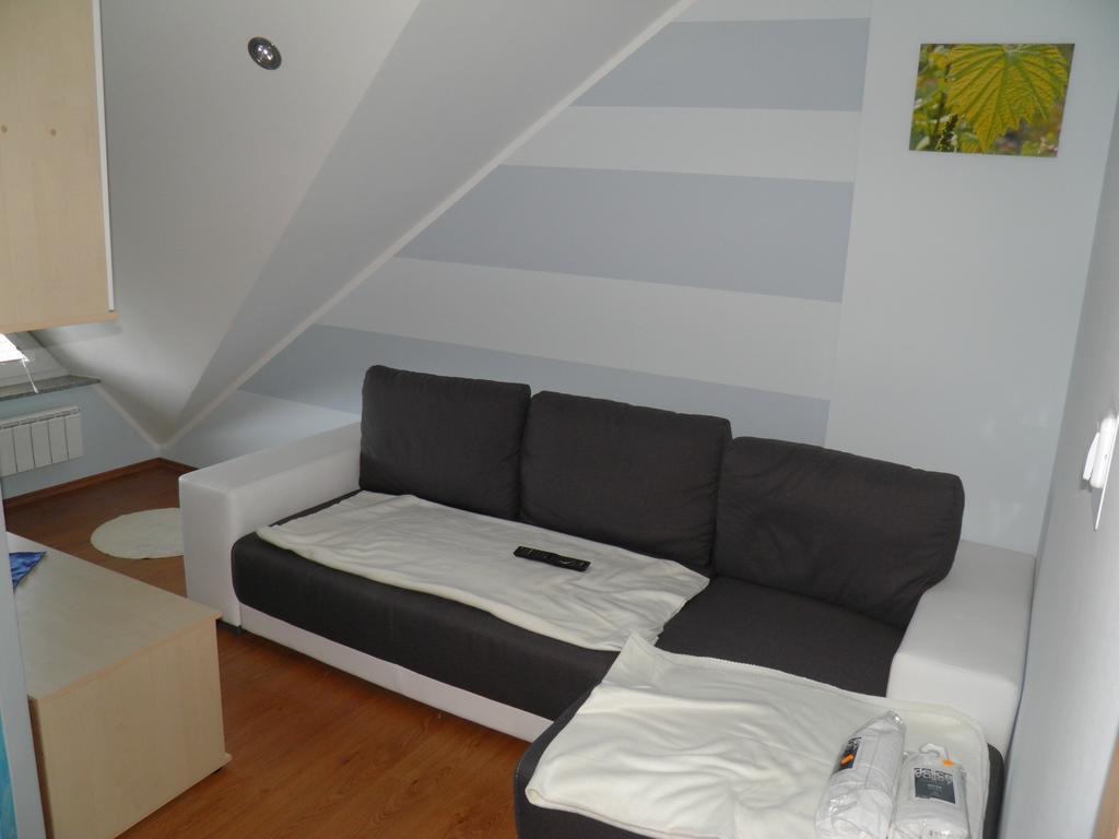Guesthouse Prenocisca Sirec Ptuj Room photo